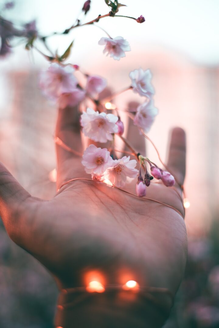 A hand holding flowers in the sun